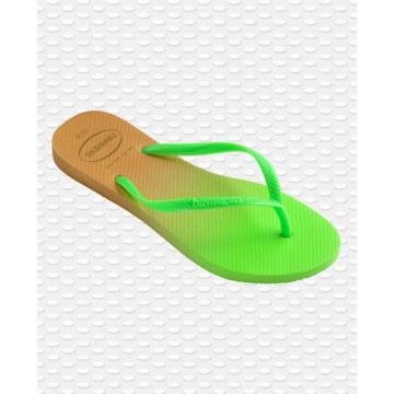 Havaianas-Slim Gradient