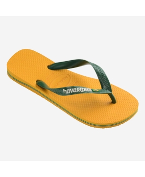 Havaianas Brasil Logo