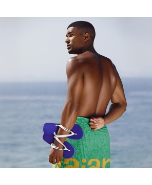 Havaianas Brasil Logo