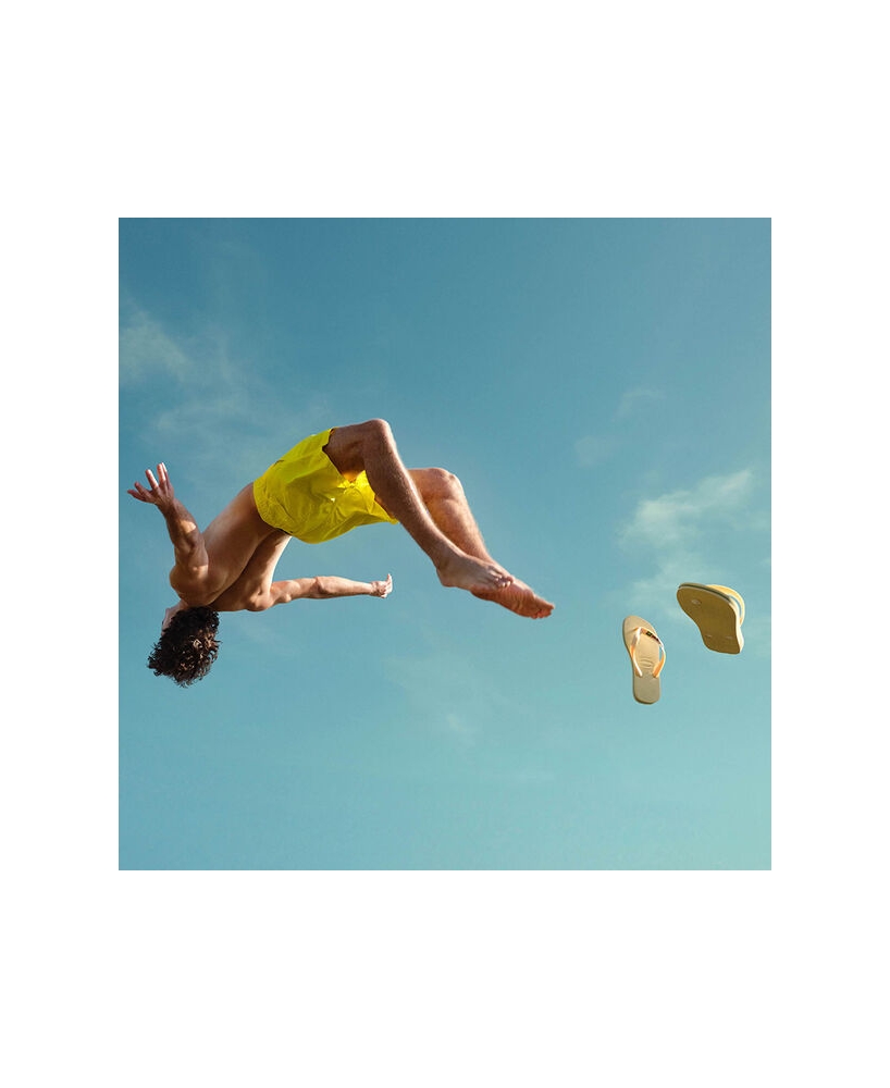 Havaianas Brasil Logo
