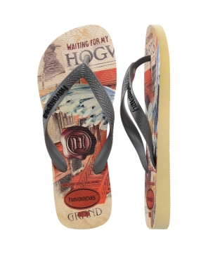 Havaianas Top Classics Warner