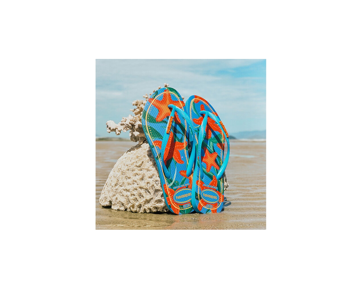 ou-acheter-des-havaianas-originales-en-tunisie